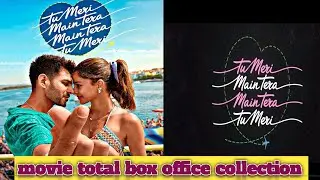 Tu meri main tera main tera tu meri movie budget and collection ! Kartik Aryan and Ananya Pandey 