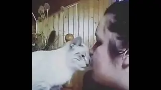 Утро началось с нежностей