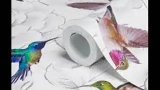 bird design wallpaper b&q - 50+ beautiful birds hd desktop hq mobile phone wallpapers 2