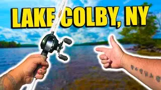 Wade Fishing Lake Colby for Big Summer Bass (Adirondack Bass Fishing)
