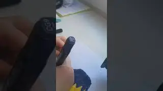 Портрет Егор Шипа