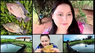 💥PRIMEIRA VEZ PESCANDO TILAPIA NA NOSSA REPRESA DO SITIO 😍 #vidanaroca 