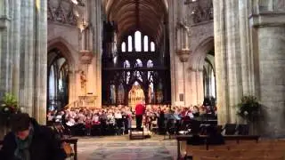 Ely cathedral choir practice