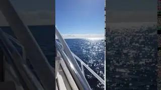 430 Intrepid Sport Yacht Sea Trial