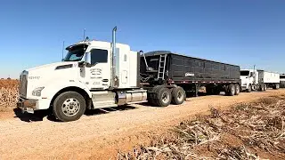 SIX or SEVEN Trucks?  6 🤷🏻‍♀️ 7 