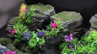 Jungle Terrain Set