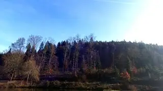 Forellenangeln im Kleinenztal