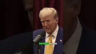 Debunking Crime Myths:The Truth Revealed ! #trump #usa #yt #shorts #ytshorts #joe #viralvideo #crime