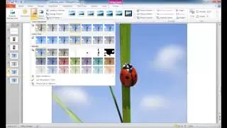 Create a Selective Color Effect in PowerPoint