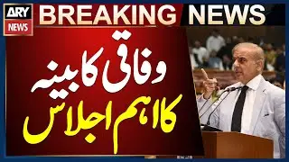 Federal Cabinet Meeting Chaired by PM Shehbaz Sharif in Islamabad