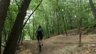 Padurea Cernica - Padurea Branesti - 14.8.2022 (GoPro Hero 10)