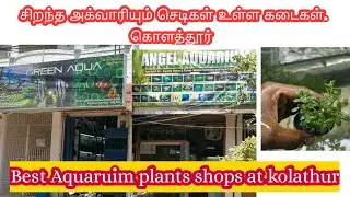 Best Planted Aquaruim Shops Kolathur.