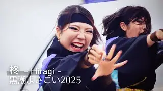 Hiragi (柊) &ndash; Yosakoi Dance Performance | Kuroshio Yosakoi 2025 | ひいらぎ｜黒潮よさこい2025 利根川会場