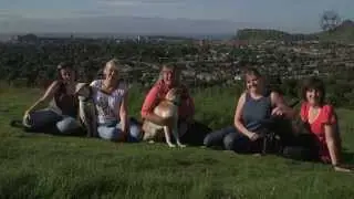 Introduction to the Animal Behaviour and Welfare Team