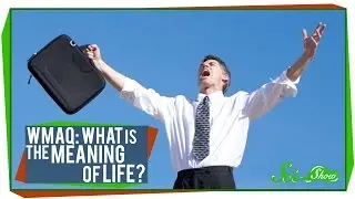 World's Most Asked Questions: What is the Meaning of Life?