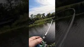 Throwing a plastic worm and this happened #fishing #louisiana #bassfishing #fishusa