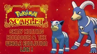 Pokemon Scarlet & Violet - SHINY HUNTING HOUNDOUR & THE WHOLE EVOLUTION LINE ! ✨