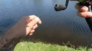 big bass on the Gambler lures ez swimmer metanium dc and 6th sense usa custom