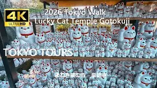 2026 Tokyo Walk Lucky Cat Temple Gotokuji