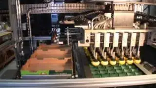 Stroba - Kiwifruit, Lemons Automatic Tray Packing