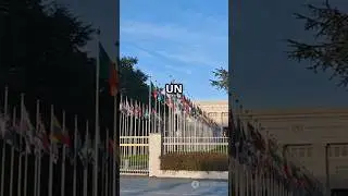 origins of the United Nations! #unitednations  #worldhistory  #peace  #globalcooperation