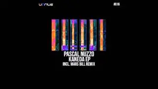 Pascal Nuzzo - Opium (Original Mix) _ {Unrilis]