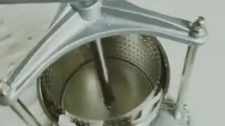 Europe hot sale Classical grape press juicer