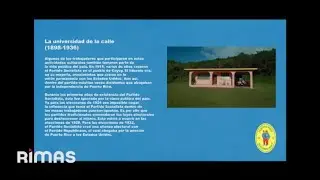 BAD BUNNY - KETU TeCRE (Visualizer) | DeBI TIRAR Mas FOTos