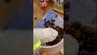 #short #Cat # Pet #Cute Chef Catie Puzzy Cooking Food | Милый кот готовит 2021