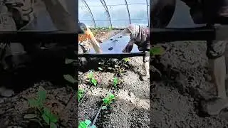 Installing Solar Panels in Farmland &ndash; Energy Generation
