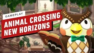 10 Cute Animal Crossing New Horizons: Multiplayer and Museum Features