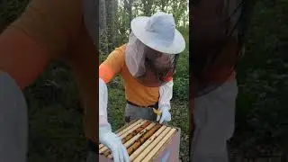NUC Inspection - Part 1