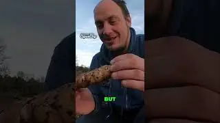 Cure Jerusalem Artichokes  Digest Easily Without Gas