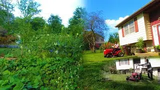 Cucumber Vegetable Garden cleaning at home/My Weekend Work Routine: A Day in the Life/Grass cut