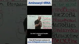 Aminoacyl tRNA #drnajeeb #drnajeeblectures #shortvideostatus