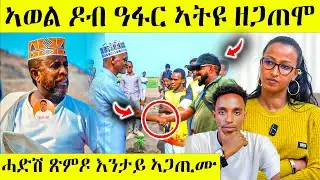 ኣወል ዓፋር ኣትዩ ዘይተፀበዮ ነገር አጋጢምዎ awel seid | eritrean movie