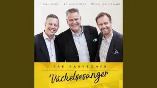 På en avlägsen höjd
