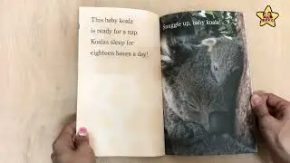 【星愿文化】Snuggle Up, ZooBorns!
