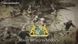 Swedish Army March - 