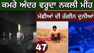 Rain in Room। 🌧️ Biggest Fish Aquarium 🐟 । 🌵 ।Day-47