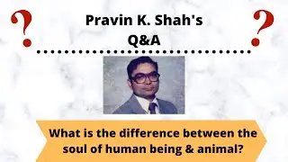 Q&A: What is the difference between the soul of human being and animal?