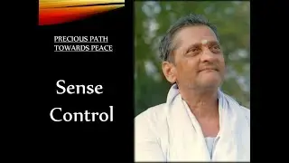 Sense Control (PP2P9)