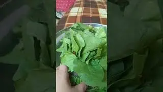 ١٤ يناير ٢٠٢٦