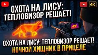 Охота на лису с тепловизором. Дткп Шмель М-1 ar-15 223 rem. выстьрел на 440 м. Тепловизор для авто