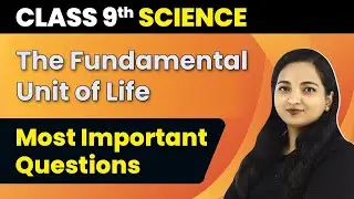 The Fundamental Unit of Life Class 9 Most Important Questions | Fundamental Unit of Life Class 9