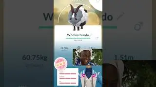 HUNDO WOOLOO EVOLUTION! 😱 MAX CP + BEST IV Pok&eacute;mon GO 🐑✨ #pokemongo #shorts