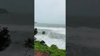 The Cap GOA #beach #goadiaries #shortsvideo