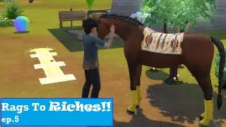 Horse Competitions! | Rags To Riches!! ep.5