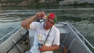 PANIC - Lost MOnster catfish :( (Spadanje ogromnog soma) 1 deo...