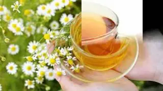 Camomile Tea - Kajiura Yuuki.avi